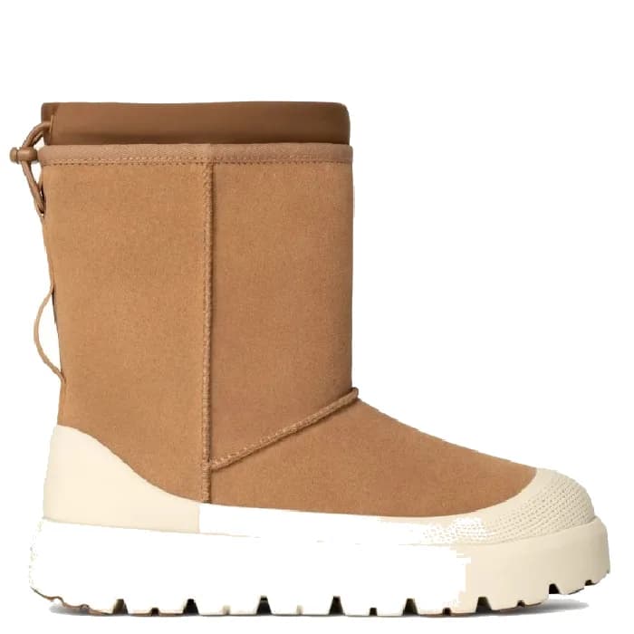CLASSIC SHORT WEATHER HYBRID — CHESTNUT